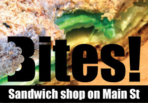 example_1: Bites